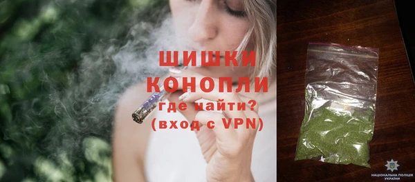 индика Заволжск