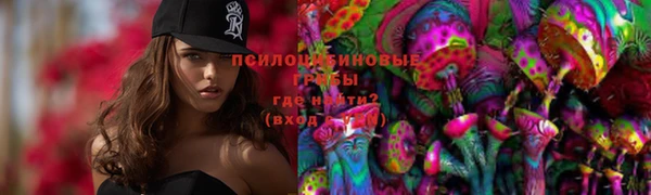 бошки Заводоуковск