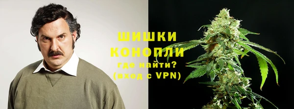 бошки Заводоуковск
