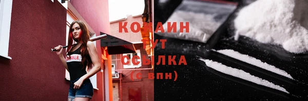 бошки Заводоуковск