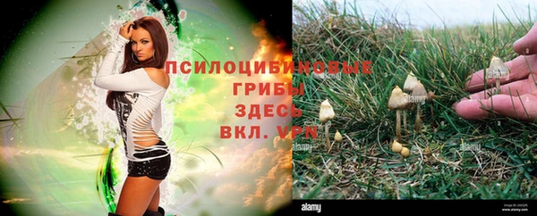 экстази Заволжье