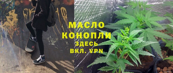 индика Заволжск